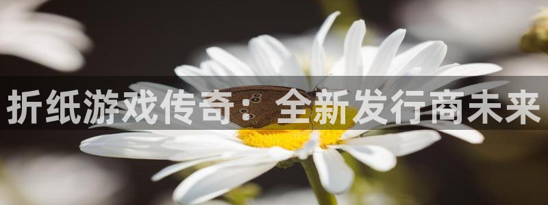 亿万28官网登录注册账号安全吗安全吗：折纸游戏传奇：全新发行商未来