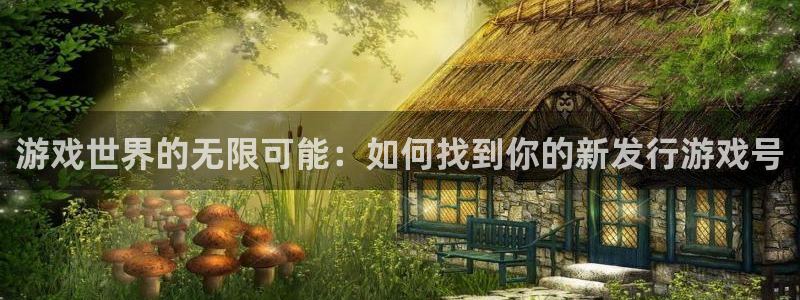 亿万28啤酒怎么样：游戏世界的无限可能：如何找到你的新发行游戏号