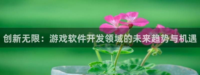 亿万28子怎么来的：创新无限：游戏软件开发领域的未来趋势与机遇
