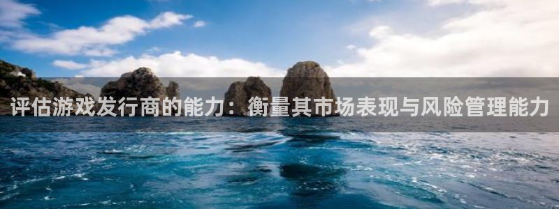 亿万28啤酒多少钱一箱：评估游戏发行商的能力：衡量其市场表现与风险管理能力