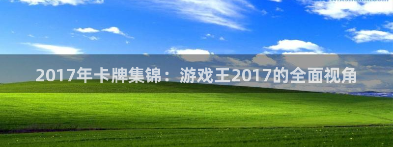 亿万28子怎么来的：2017年卡牌集锦：游戏王2017的全面视角