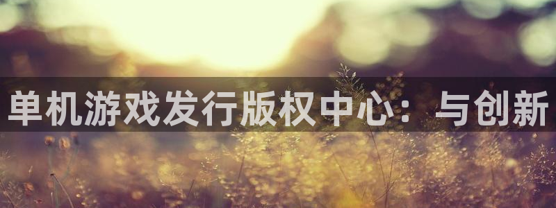 亿万28官网注册平台是什么：单机游戏发行版权中心：与创新