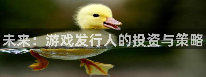 亿万28官网代理开号平台