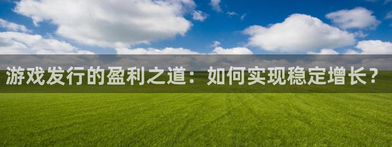 亿万28官网登录注册账号安全吗：游戏发行的盈利之道：如何实现稳定增长？