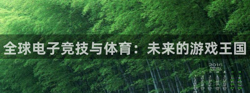 长沙亿万28子电子商务有限公司：全球电子竞技与体育：未来的游戏王国