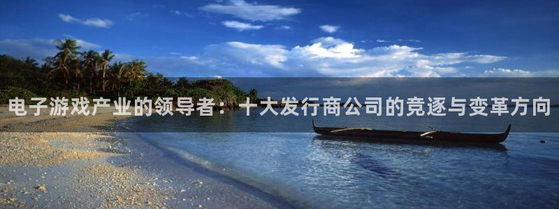 亿万28子文化有什么游戏：电子游戏产业的领导者：十大发行商公司的竞逐与变革方向