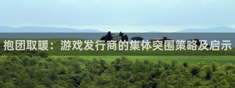 亿万28子财经丛书有哪些：抱团取暖：游戏发行商的集体突围策略及启示