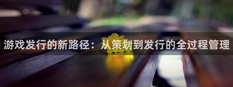 亿万28官网平台代理开号流程：游戏发行的新路径：从策划到发行的全过程管理