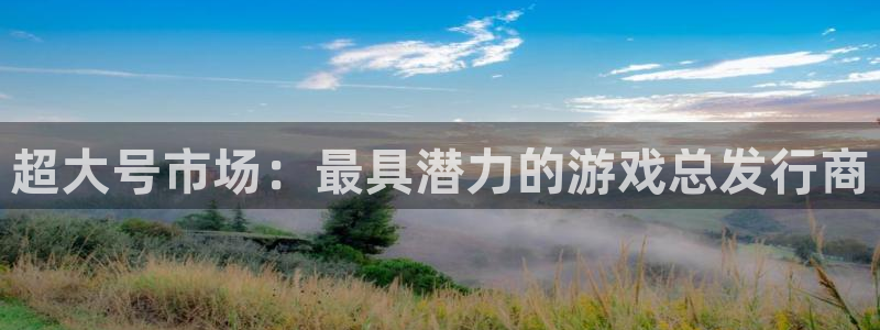 亿万28好还是红狮好：超大号市场：最具潜力的游戏总发行商