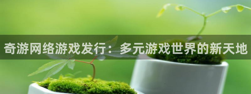 亿万28子写作课：奇游网络游戏发行：多元游戏世界的新天地