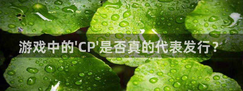 亿万28官网登录注册账号安全吗：游戏中的\'CP\'是否真的代表发行？
