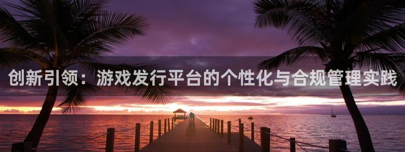 亿万28涂料(北京)有限公司：创新引领：游戏发行平台的个性化与合规管理实践