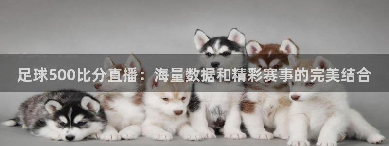 咪咕体育：足球500比分直播：海量数据和精彩赛事的完美结合