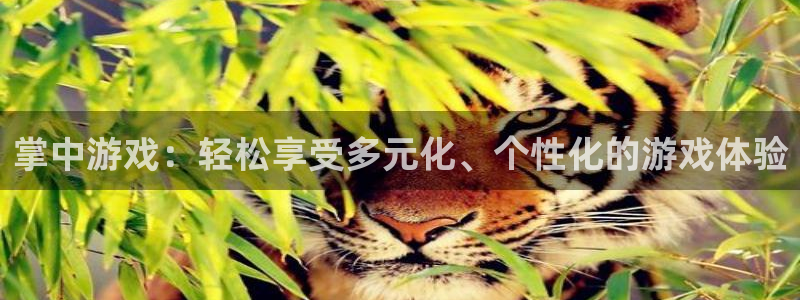 咪咕篮球赛现场直播：掌中游戏：轻松享受多元化、个性化的游戏体验