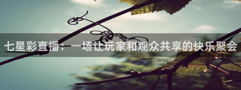 咪咕视频安装下载：七星彩直播：一场让玩家和观众共享的快乐聚会