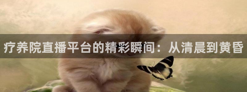免费看咪咕体育直播