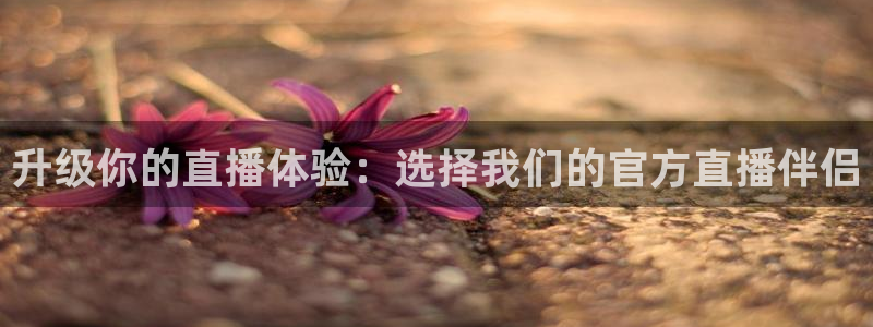 咪咕体育官网