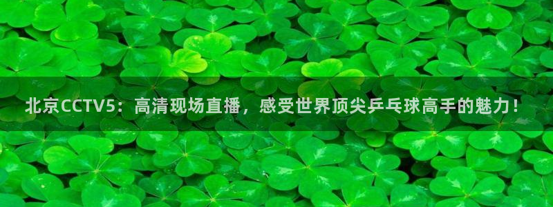手机咪咕直播
