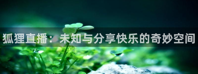 下载咪咕体育直播：狐狸直播：未知与分享快乐的奇妙空间